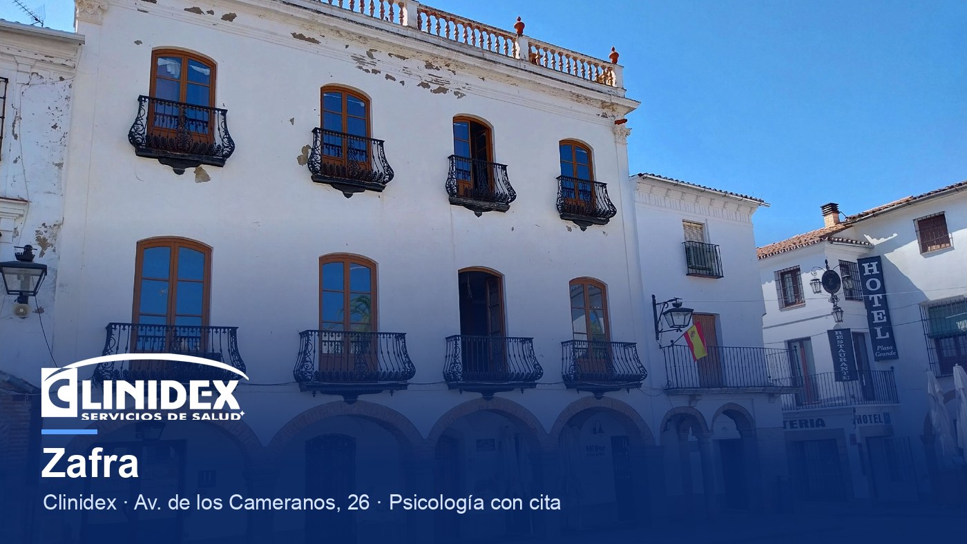Zafra: Zafra - Plaza Grande 04