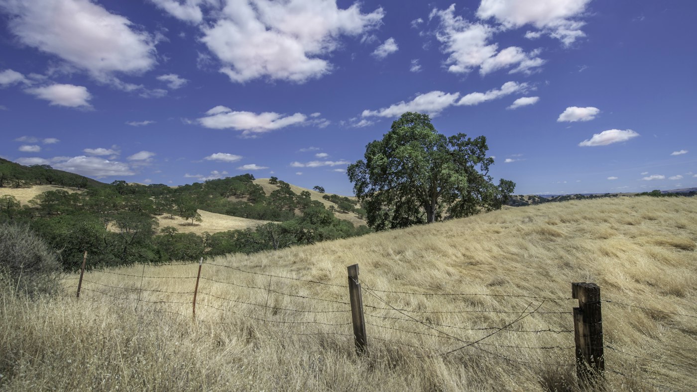Campo con encinas y una cerca bajo un cielo con nubes