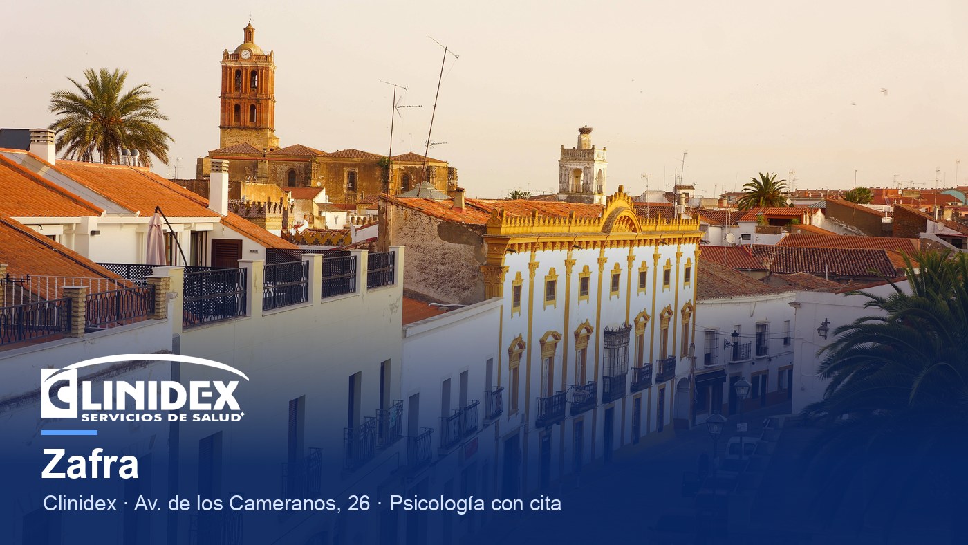 Zafra: Edificios, Zafra