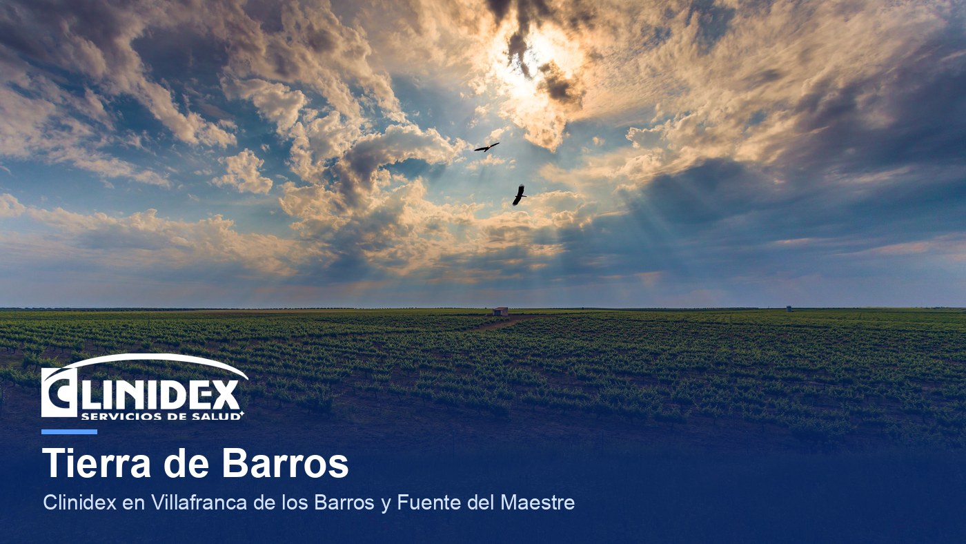 Tierra de Barros: Viñedos en Tierra de Barros (Badajoz)
