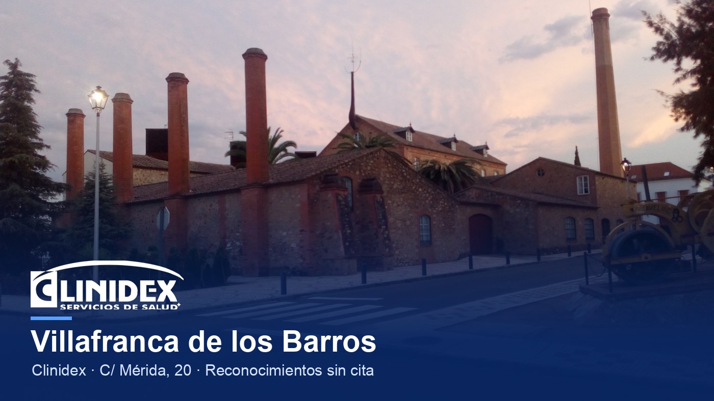Villafranca de los Barros: Harinera