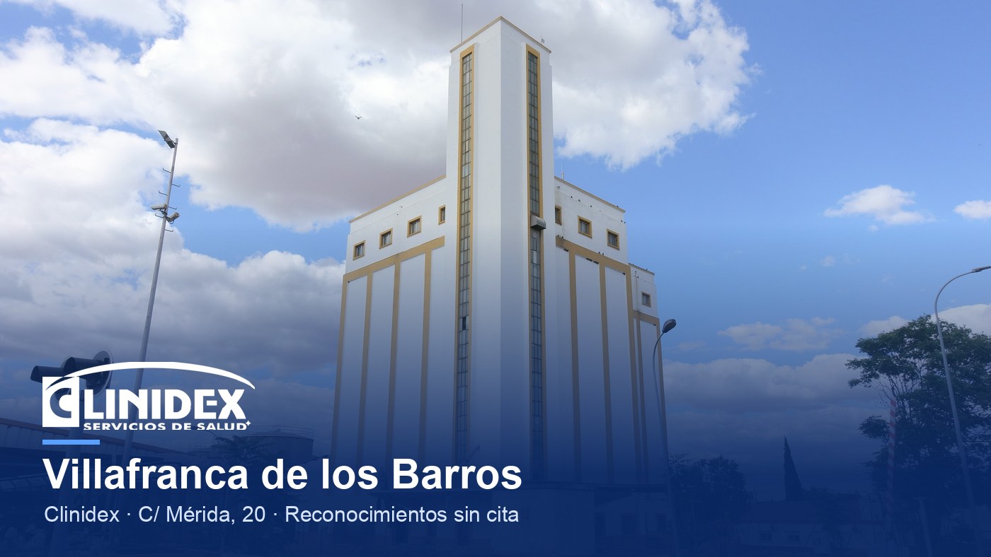 Villafranca de los Barros: Silo de Villafranca de los Barros 01