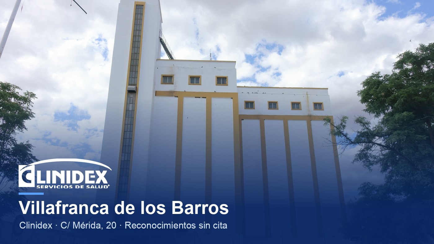 Villafranca de los Barros: Silo de Villafranca de los Barros 02