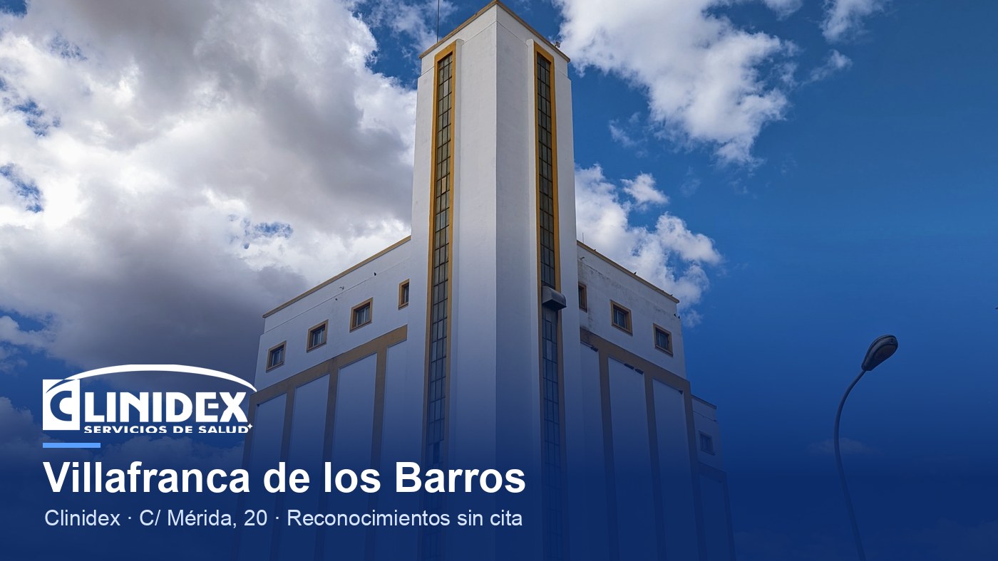 Villafranca de los Barros: Silo de Villafranca de los Barros 03